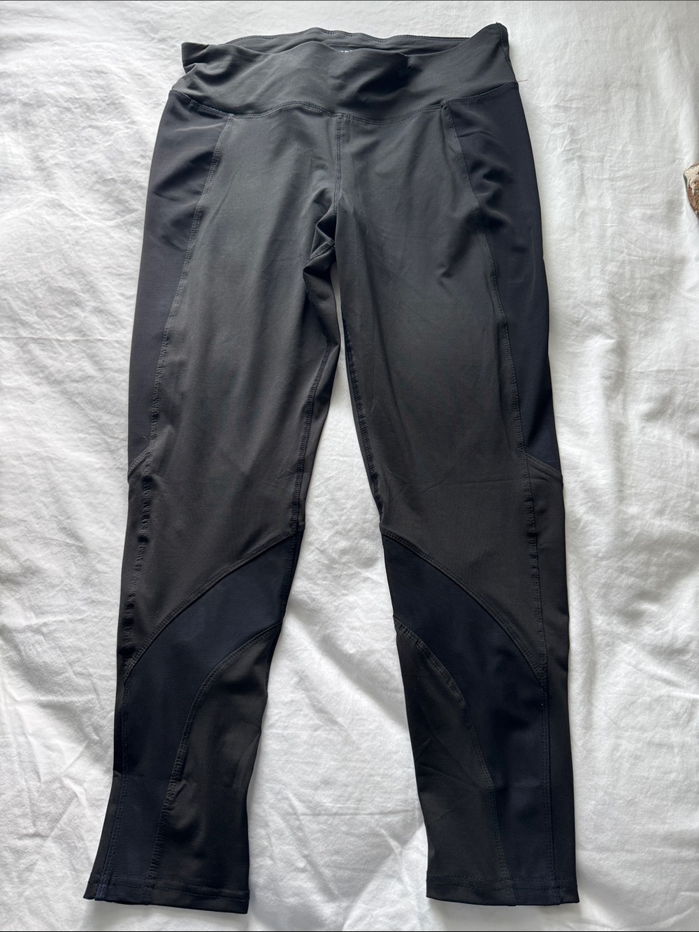 BCBGMaxAzria Black Leggings with Blue Waistband Accent